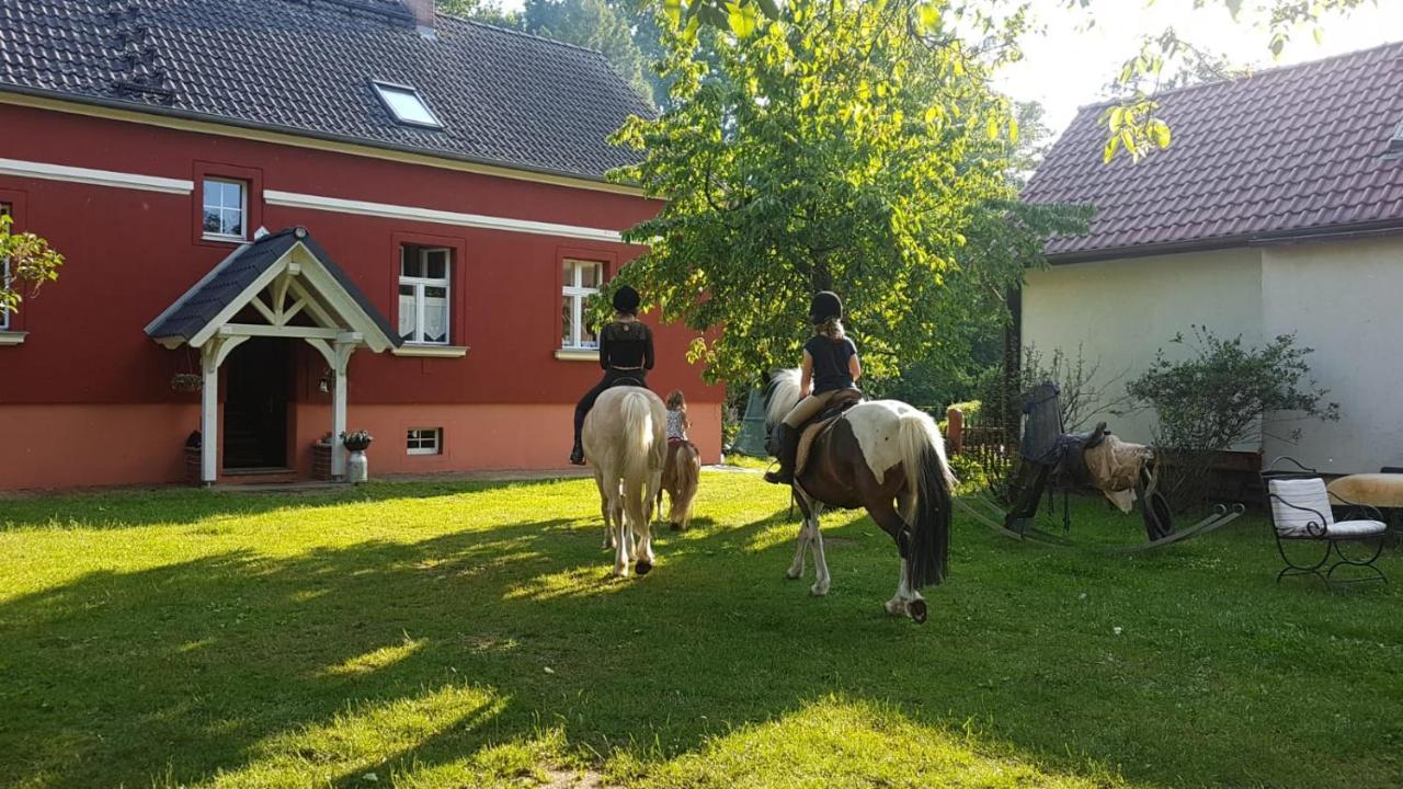 Ferienwohnung Kunz Burg  Bagian luar foto