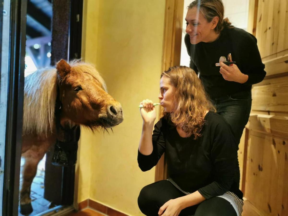 Ferienwohnung Kunz Burg  Bagian luar foto