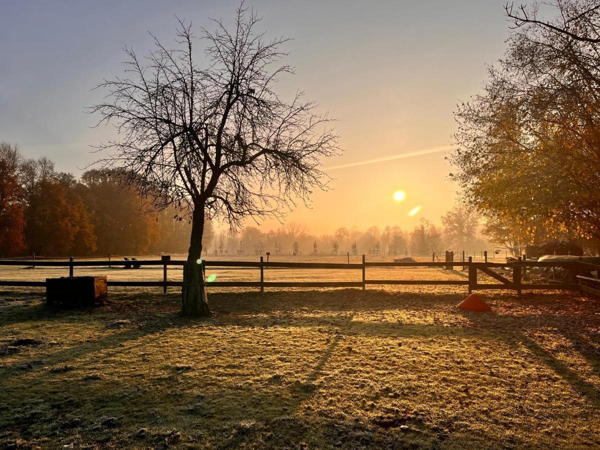 Ferienwohnung Kunz Burg  Bagian luar foto